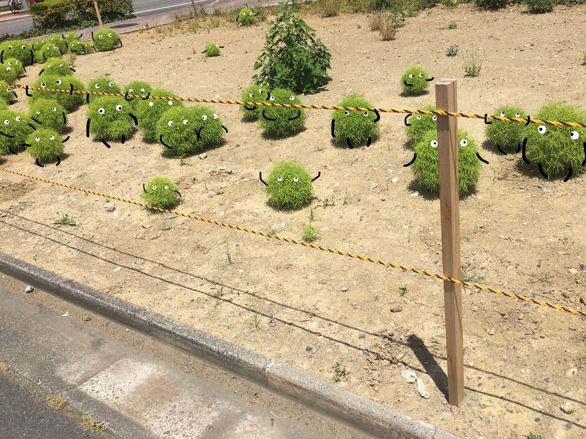 空き地の植物が不動産屋のマスコット スーモ にしか見えない 手足と目を追加したら完全に一致 植物の種類も特定 Togetter 空き地の植物が不動産屋のマスコット スーモ にしか見えない 手足と目を追加したら完全に一致 植物の種類も特定 Togetter