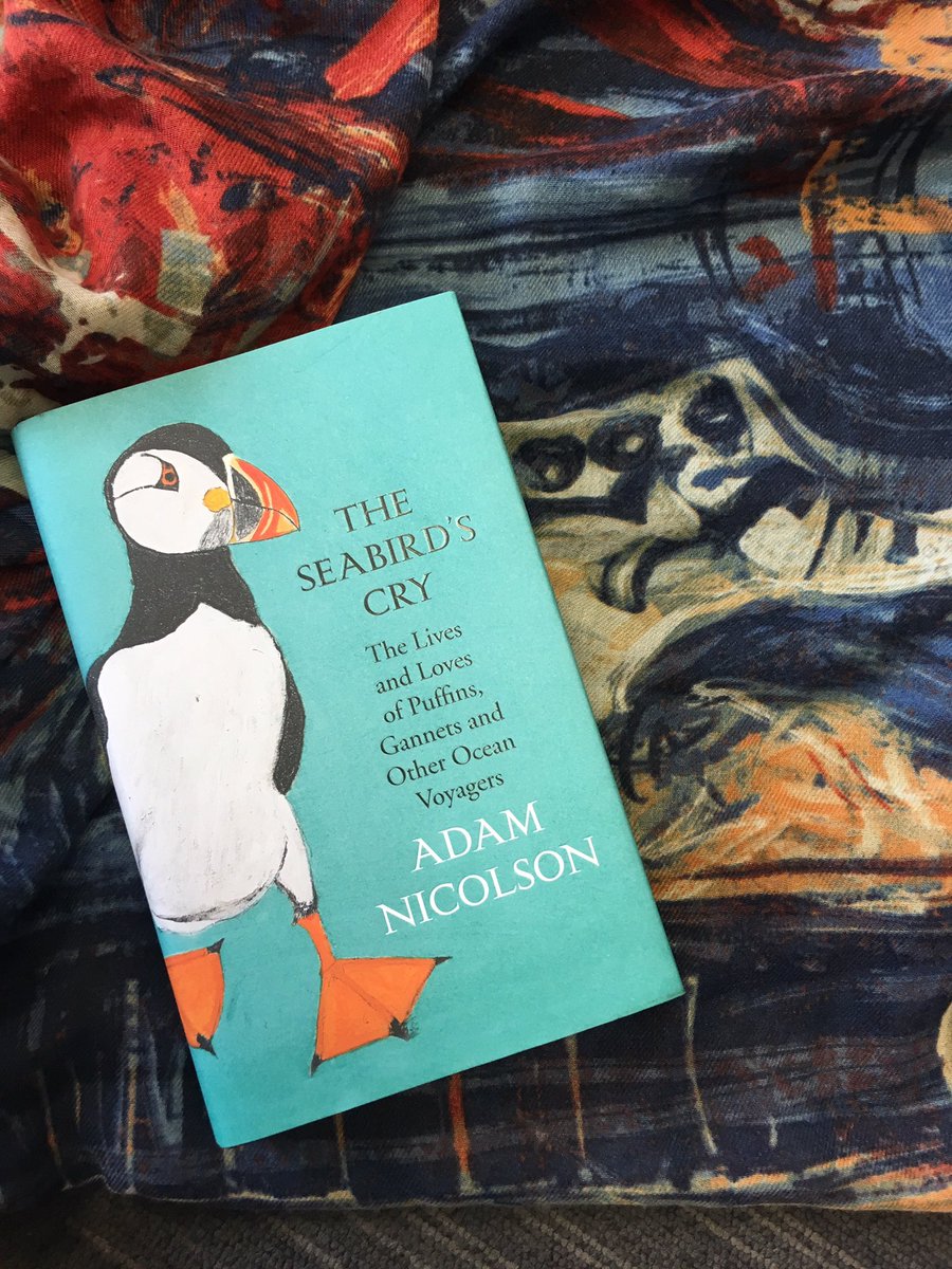 The Seabird/’s Cry