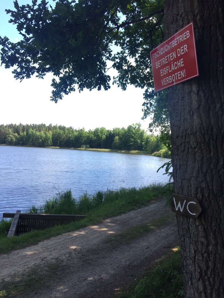 RanasTweets's tweet photo. Ja eh! #Wald4tel https://t.co/Djck0v7PTt