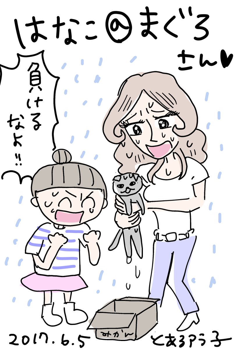 @hnk1982msk お買い上げ有難うございます! 