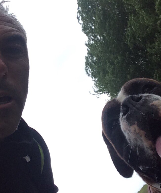 arobs13's tweet image. 1st run in ages &amp;amp; my legs are screaming after 8miles. Old loop I used to do with Jake now introduced to Jackson, Archie up next
#BoxerPower