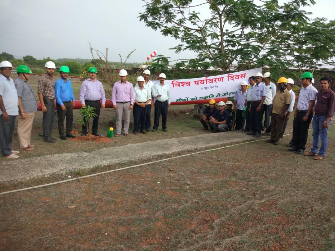 BPCLGoa's tweet photo. World Environment Day celebrated at Goa LPG. Save tree save life @BPCLWRLPG @vijaytilak1 @BPCLimited https://t.co/8Z84mc6wj3