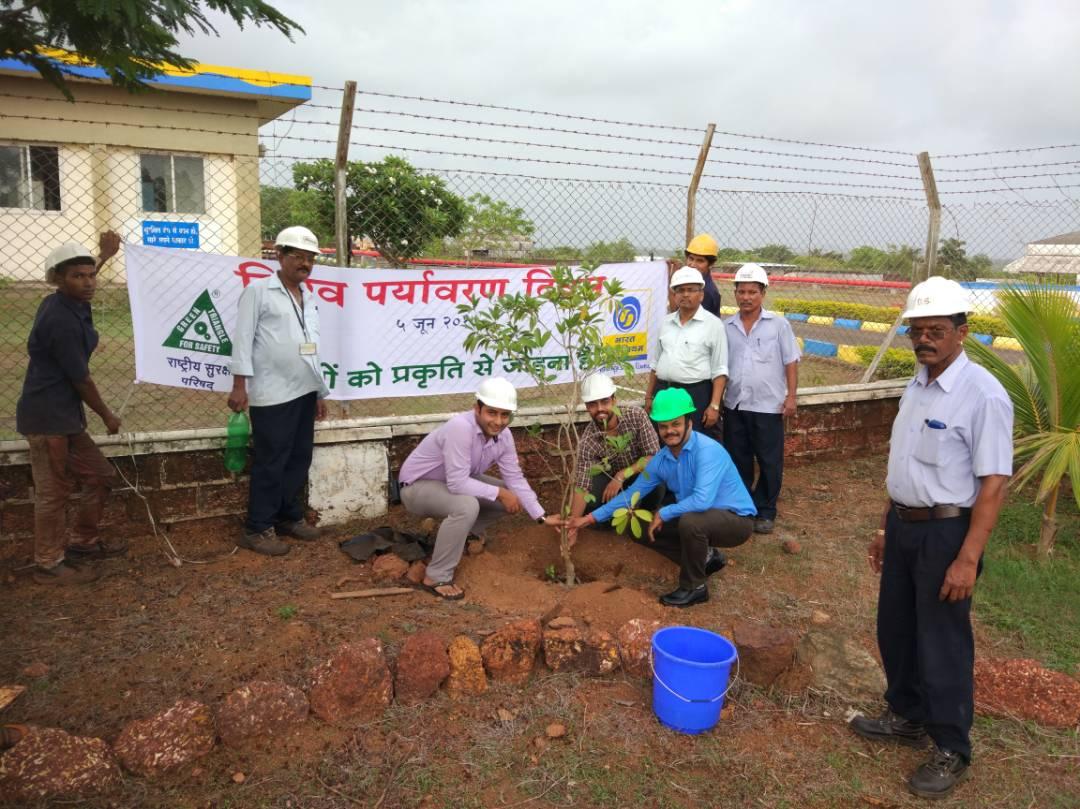 BPCLGoa's tweet photo. World Environment Day celebrated at Goa LPG. Save tree save life @BPCLWRLPG @vijaytilak1 @BPCLimited https://t.co/8Z84mc6wj3