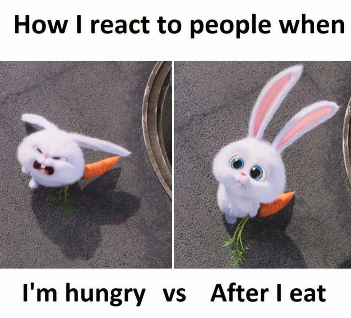 lol rabbit