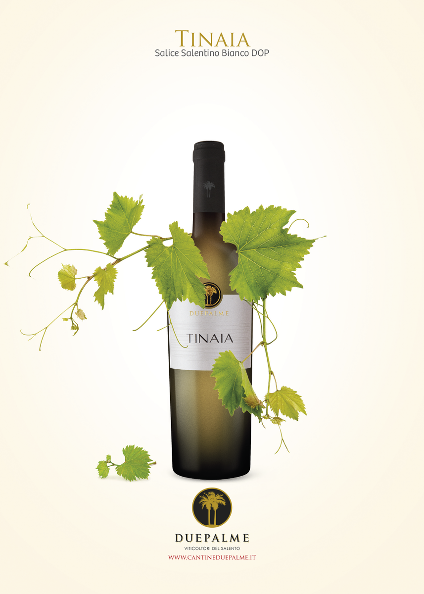 #Tinaia è un Salice Salentino Bianco DOP, ottenuto da uve selezionate di Chardonnay Scopri di più: cantineduepalme.it/shop/tinaia-sa… #CantineDuePalme