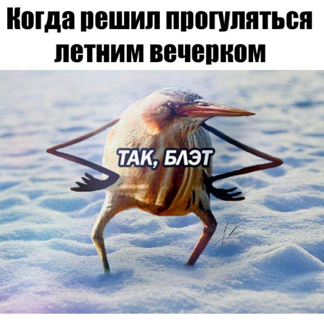 книга аж ты ебаный ты нахуй Нахуй книга аж ты ты ебаный