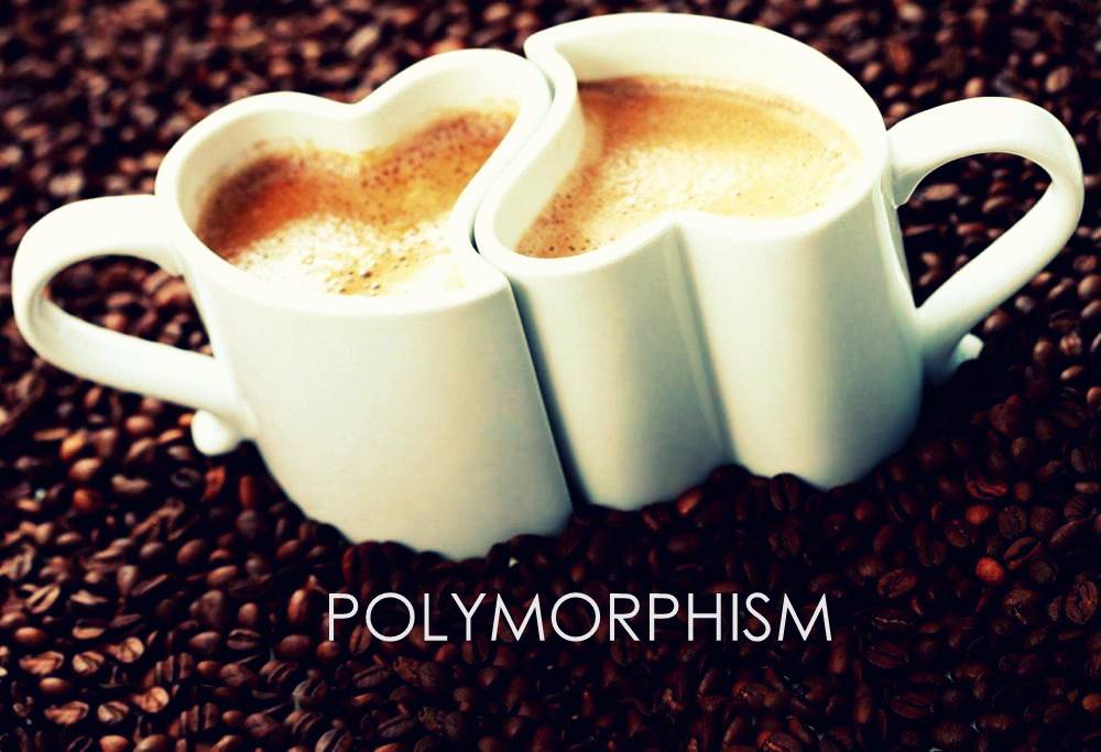 dumbitdude's tweet photo. Learn about #Polymorphism in #Java here: https://t.co/UbYtc6S84i                            #JavaPolymorphism #javafordummies #javatutorials https://t.co/YSJNpO3Kea