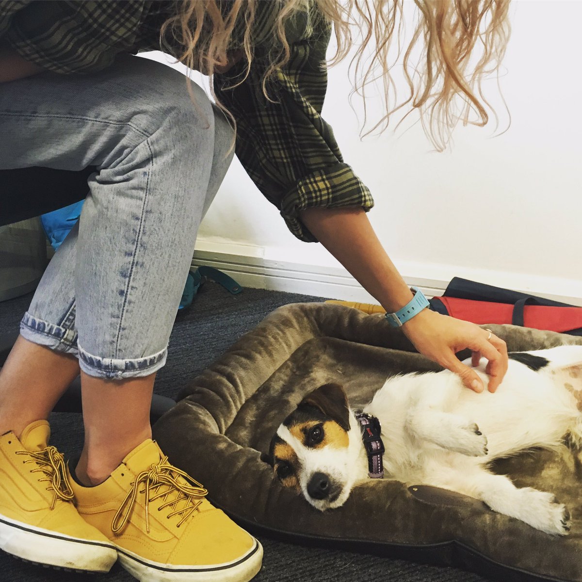 Looks like you've made a new BFF, <a href="/Lauraweightman6/">Laura Perry</a>! ❤️🐶