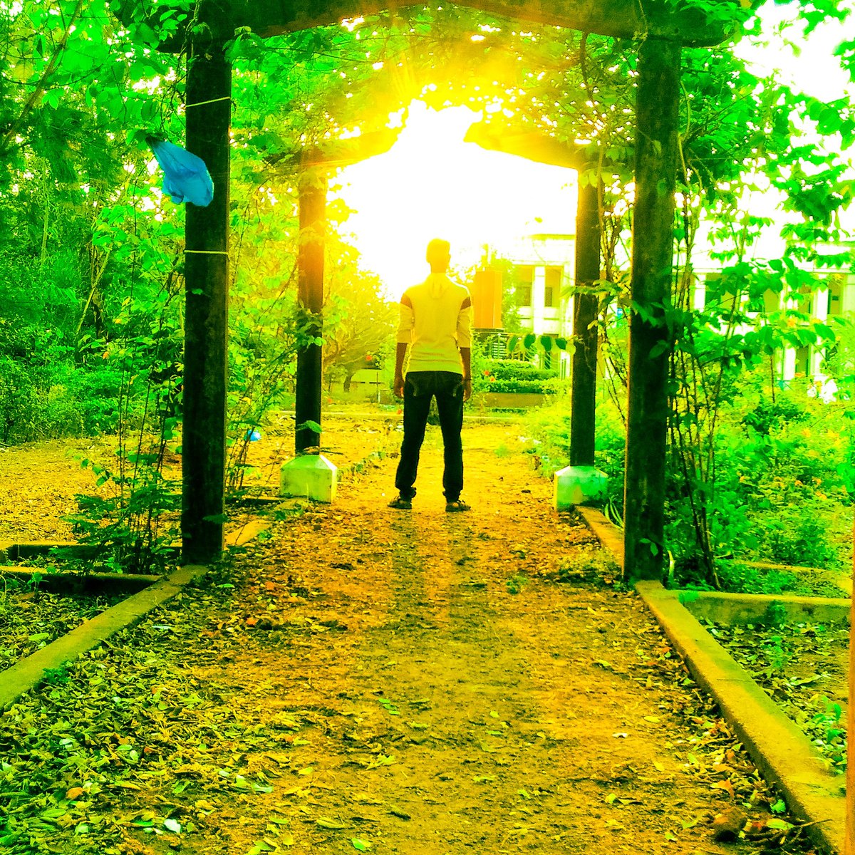 Sunlight (@suryaTejamenta) / Posts / X