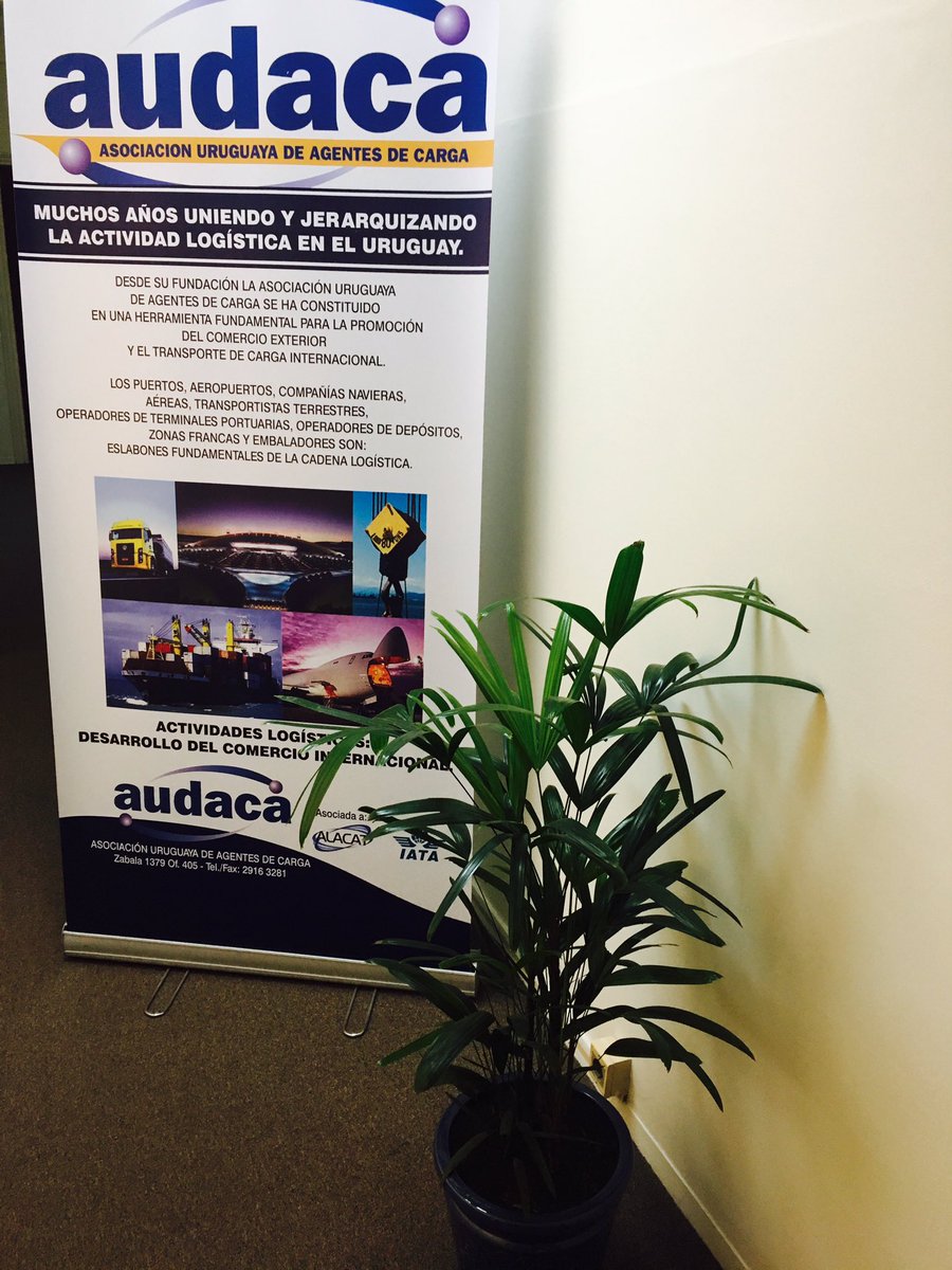 Buen dia!! ❄️☃️ a las 9 comenzamos con el grupo basico de mercancias peligrosas ! Los esperamos!!!