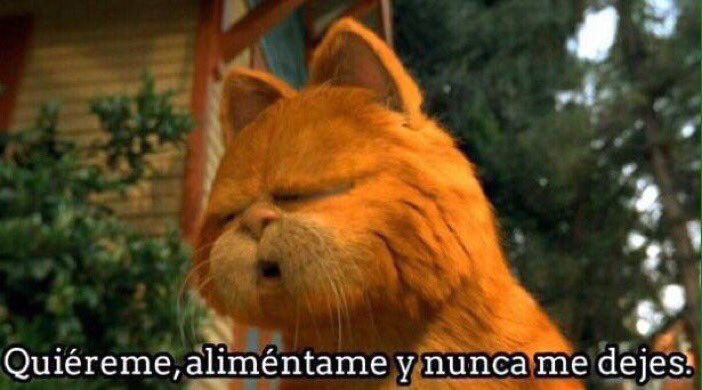 lagatachota's tweet photo. cada vez que me preguntan como hacerme feliz https://t.co/F46cKVQoKu