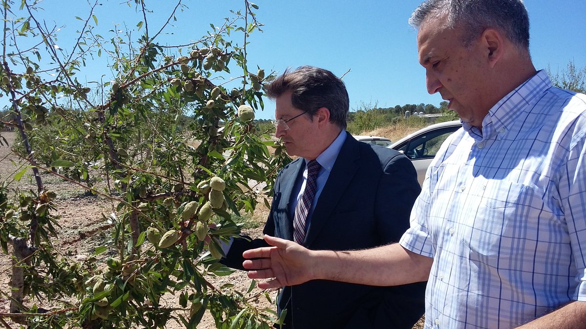 ppcaravaca's tweet photo. @paco_jodar ha visitado la zona del campo de #Caravaca afectada por la granizada de ayer 🌱🍑⛈ más de 20.000 toneladas de fruta y hortalizas https://t.co/lB2tyb9C86