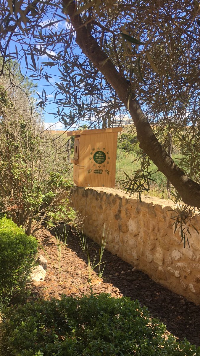 ¿Qué os parecen nuestras casitas para pájaros? Hoy estamos en el Clot de Galvany (Elche) poniéndolas en los árboles 🐦🍃🍃