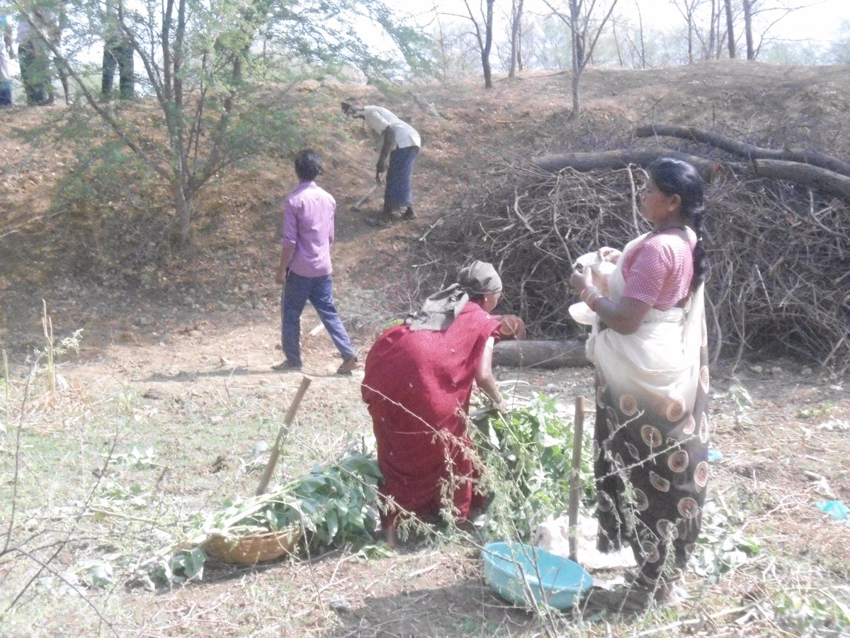 KshitijB15's tweet photo. on WED,  most Filthy place of villa Alikhuta converted to pleasing sight courtsey to 70  members, Rajnandgaon @kpsivaram @SuchiSudarshan https://t.co/PW4JbvI6s0