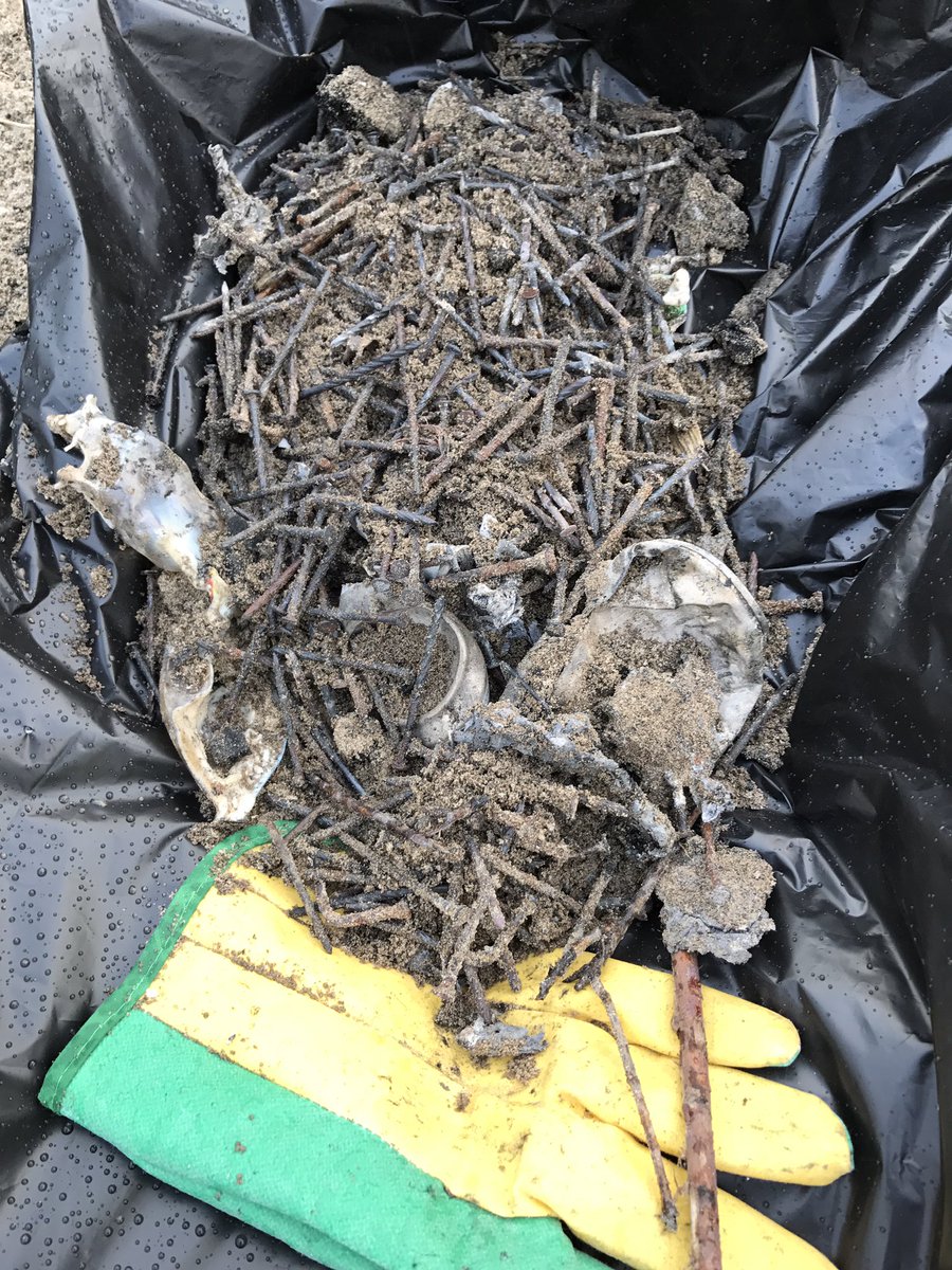 BLUFFS_PERF's tweet photo. Selfish, thoughtless behaviour on Bluffer's Beach.  Wooden pallets filled with nails burned throughout the night.  We can do so much better. https://t.co/IIoQ54qr3D