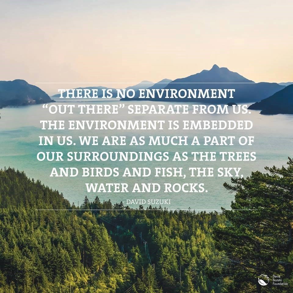 Happy #WorldEnvironmentDay everyone! 🌳 🌿 🌍