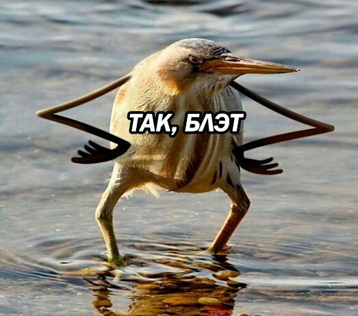 Когда все твиттерские находят лучших друзей, любовь, а ты до сих пор один: