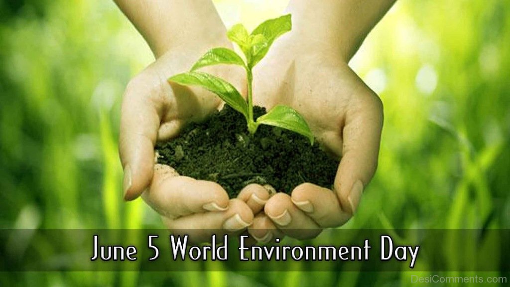webarox1's tweet photo. Give Earth a chance to keep it safe from pollution https://t.co/rrl2HLPMwX