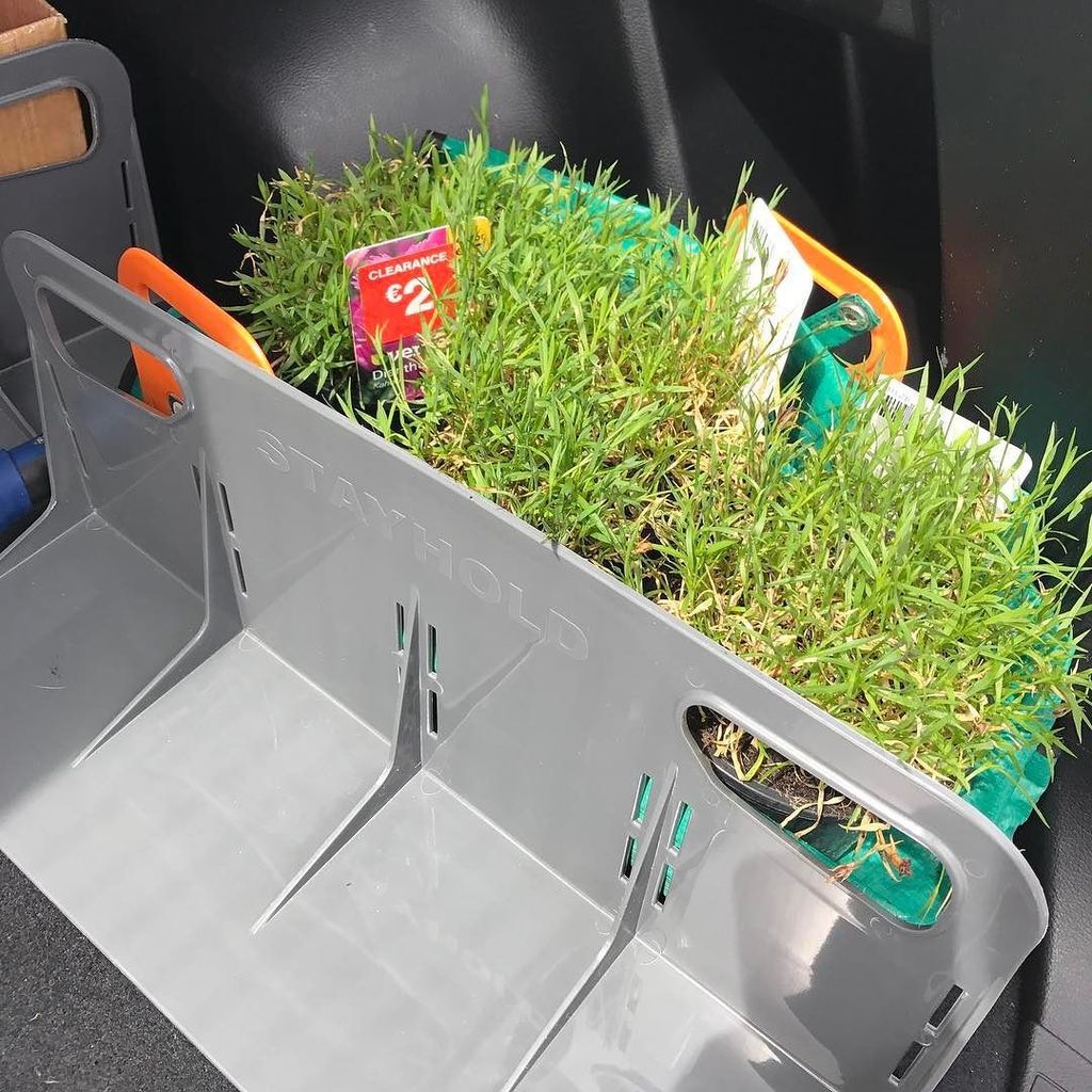stayhold_global's tweet photo. Keeping your garden happy with some little additions #summergarden #gardening #summer #stayhold https://t.co/m2lCSxJ83z https://t.co/XmQHgF2mlw