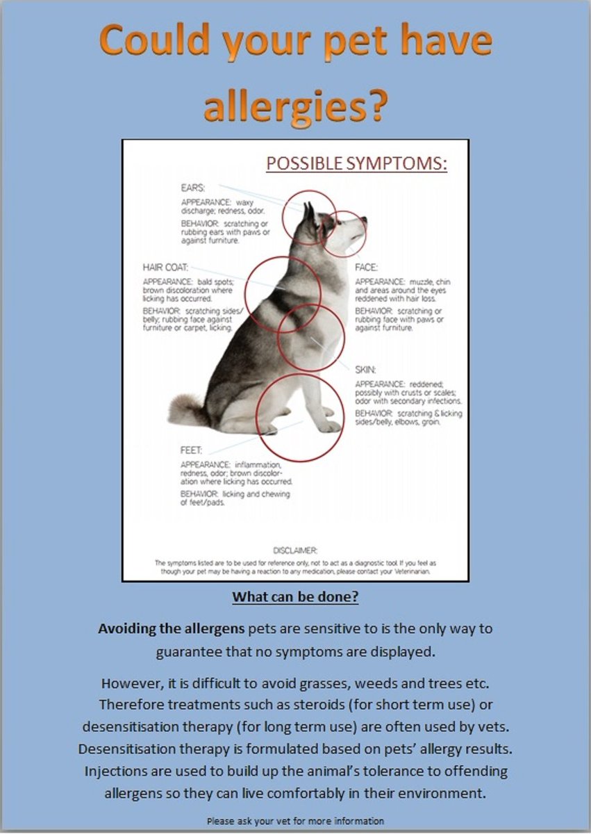 CompleteVetCare's tweet photo. Pet Allergy Week is 5th - 11th June 2017. If you think your pet may be suffering with allergies, contact your vet practice for more advice https://t.co/6TQU3QJ2RV