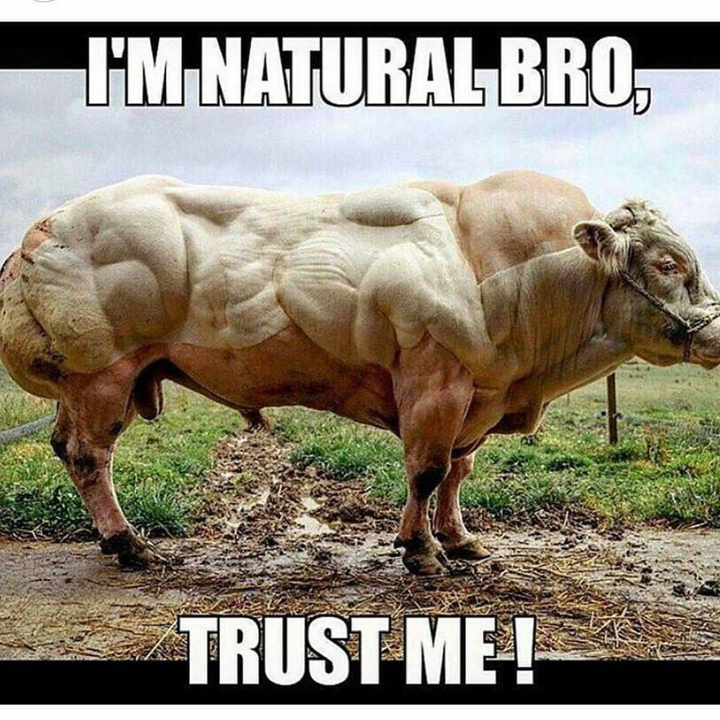 yeahieven's tweet photo. Yeah, bro. Trust me... 😑😅
#DoYouEven #YeahIEven
-
Follow @YeahIEven
Follow @YeahIEven
- 
#FitnessFlow100  #5PercentNutrition  #BlackstoneLa… https://t.co/s4HMZxBS9T