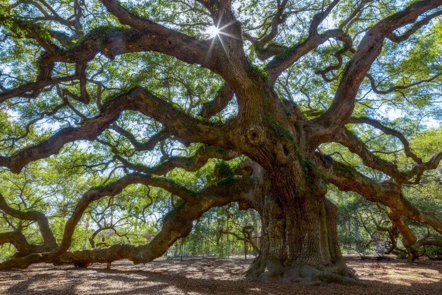 Annemarie ( annemarie_kelly) Twitter