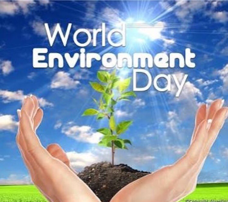 Zainabiqbal1108's tweet photo. Everyday should be this day....Connecting with nature...Doing everything possible to preserve it🙏🏻  #WorldEnvironmentDay https://t.co/szj33UyQnL