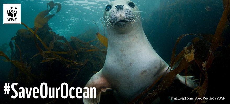 WWF EU tweet media