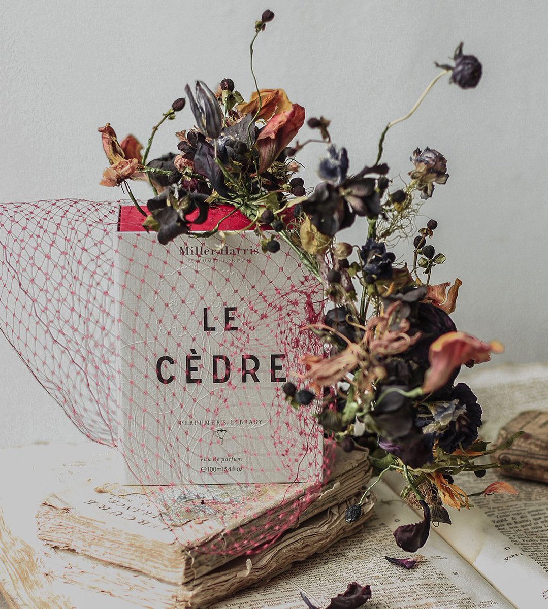 Miller_Harris's tweet photo. This week's #MillerHarrisInBloom brings Frida Kim's interpretation of our latest fragrance Le Cèdre. Discover at https://t.co/KFJYig3BV5 https://t.co/8kp1KjTdIv