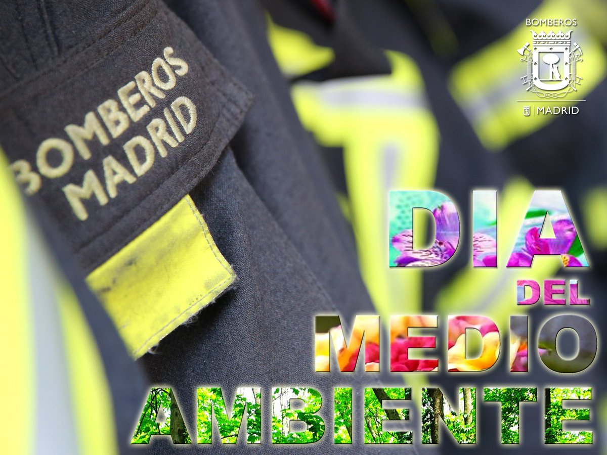 BomberosMad's tweet photo. En 2016 se quemaron más de 65.000 hectáreas.
Con tu compromiso y nuestro esfuerzo cuidemos el #medioambiente #DiaMundialdelMedioAmbiente 🌳 https://t.co/buVoTYu8KK