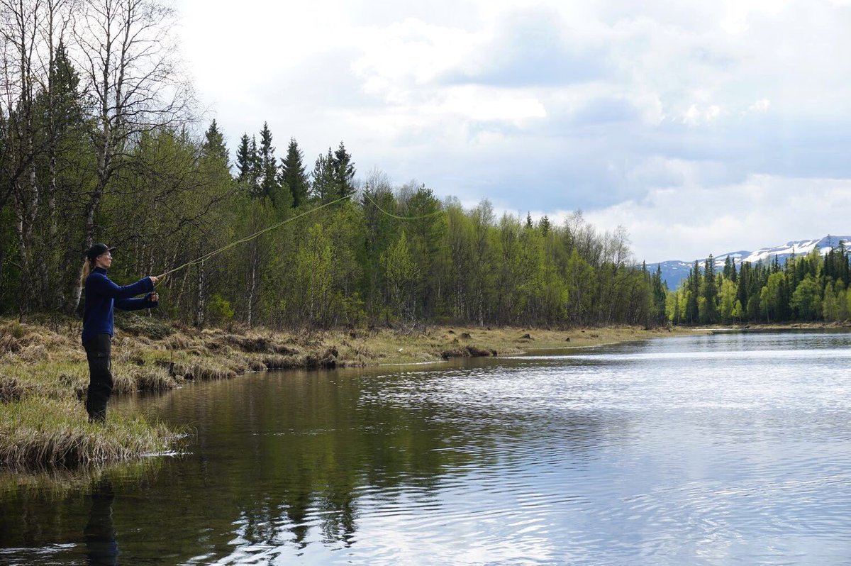 Fantastiskt fina fiskedagar i helgen! #fiska #åre