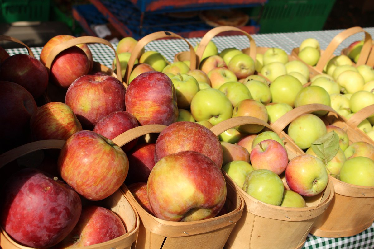 Beechwoodfm's tweet image. New online store is up and running. beechwoodmarket.ca find great vendors like @HallAppleMarket @LowertownCanCo