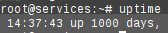 white__sheep's tweet photo. #uptime1000days 🎉🎉🎉 https://t.co/EmHllqEgT2