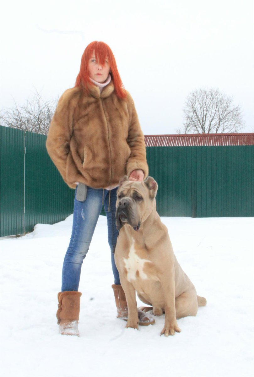 Lena Kovalenko (@crazyorlove32) on Twitter photo 