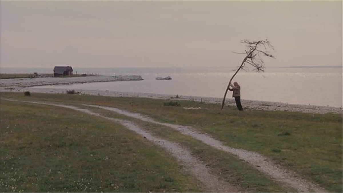 CinemaInFrames's tweet photo. THE SACRIFICE (1986)
Cinematographer: Sven Nykvist
Aspect Ratio: 1.85:1
Director: Andrei Tarkovsky https://t.co/58a5yvH6nb