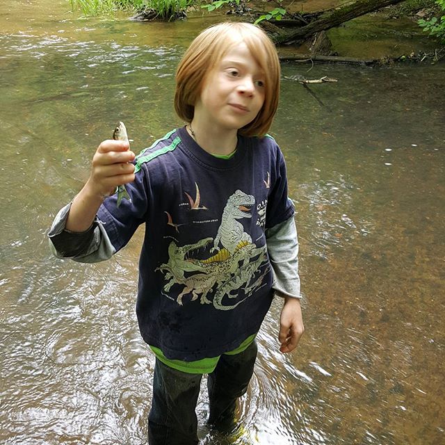 JessicaCallan4's tweet photo. Dean caught the fish with his bare hands but let it go to grow big for dinner! #bass #babyfish #naturalstream #stream #adventure #camping https://t.co/bNDIXJIEFO