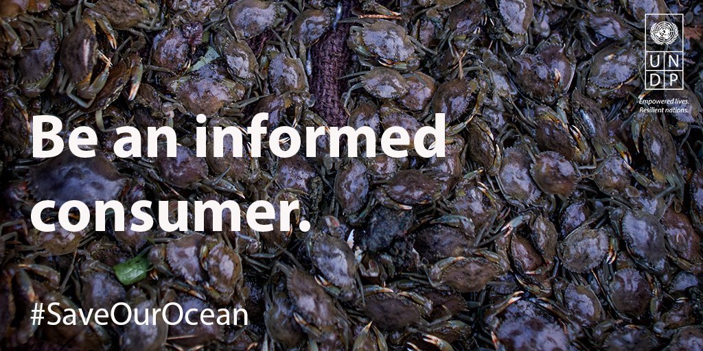 UNDP's tweet photo. Today, at least 51 trillion #microplastic particles are already in our #ocean. How you can help #SaveOurOcean: https://t.co/FnaUP25ZYe https://t.co/bpqs6aox9C