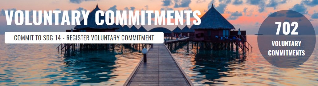 SustDev's tweet photo. More than 700 Voluntary Commitments to #SaveOurOcean have been registered! 
Watch Ocean Conference opening live: https://t.co/Lqznk9WmCG https://t.co/VVyP3LF2Kn