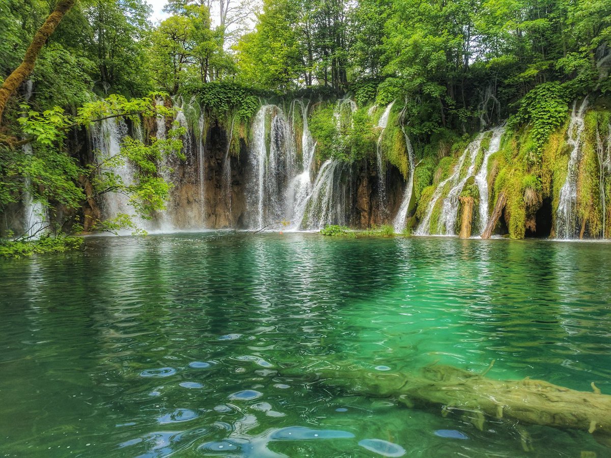 LoveLittleLotus's tweet photo. #ecofriendly holiday in #Croatia 💚 on the blog this #WorldEnviromentDay https://t.co/vVrEsMKujD https://t.co/mVoyEpFhSf
