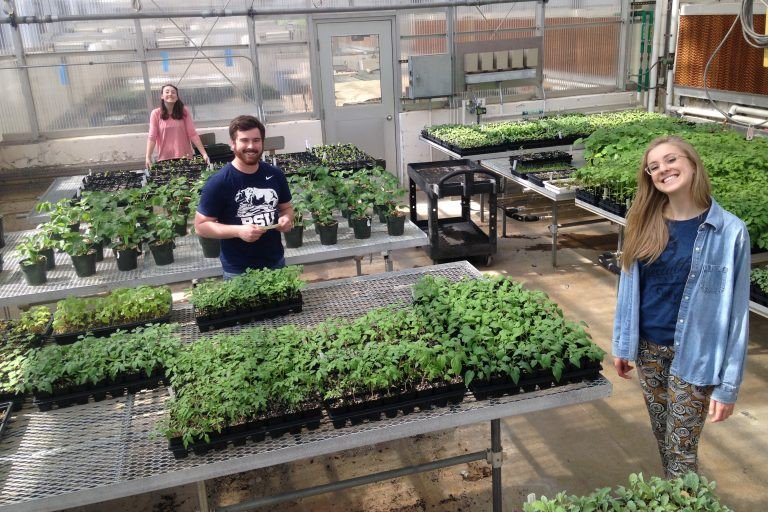 From inspirational student stories to world-changing programs to award-winning researchers -- We Are celebrating #WorldEnvironmentDay.