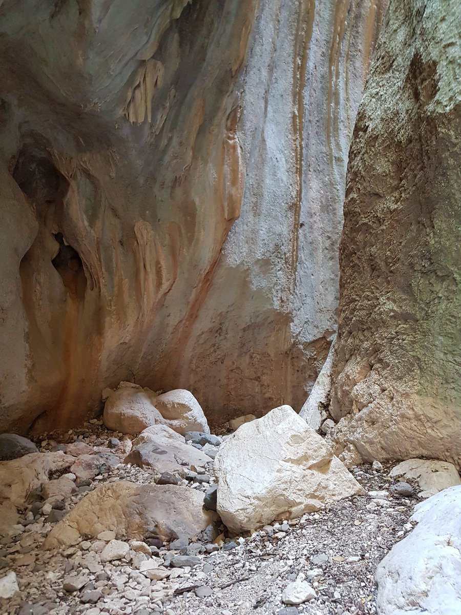 Duzzilou's tweet photo. #codulafuili #dorgali #calafuili #Sardegna https://t.co/irakbi60F8