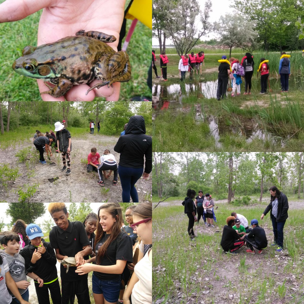 Day 7: Thanks to Assumption M. S. for our first tree planting. We planted some Red Maple trees today!  Say a little prayer they take
