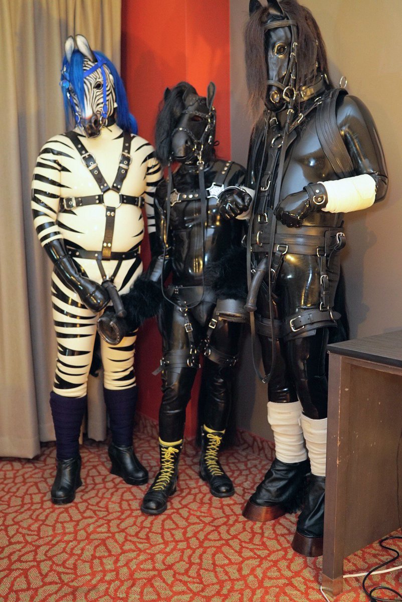 Growlph's tweet photo. This one time, at BLFC, I met these really friendly ponies (@SnowSpottycats, @ThoroughlyDark, 📸 @Tillikum) #horsecock #poneh https://t.co/QjACbNNaeb