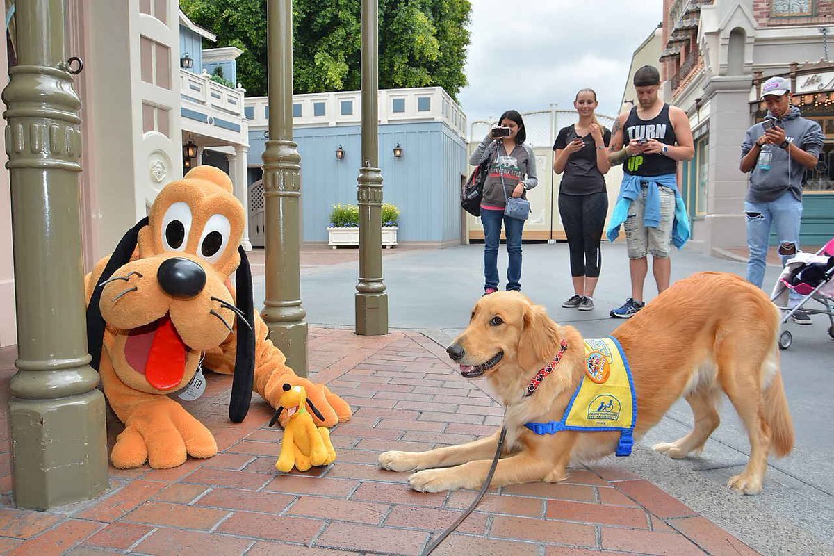 Have a magical week! #puppymonday