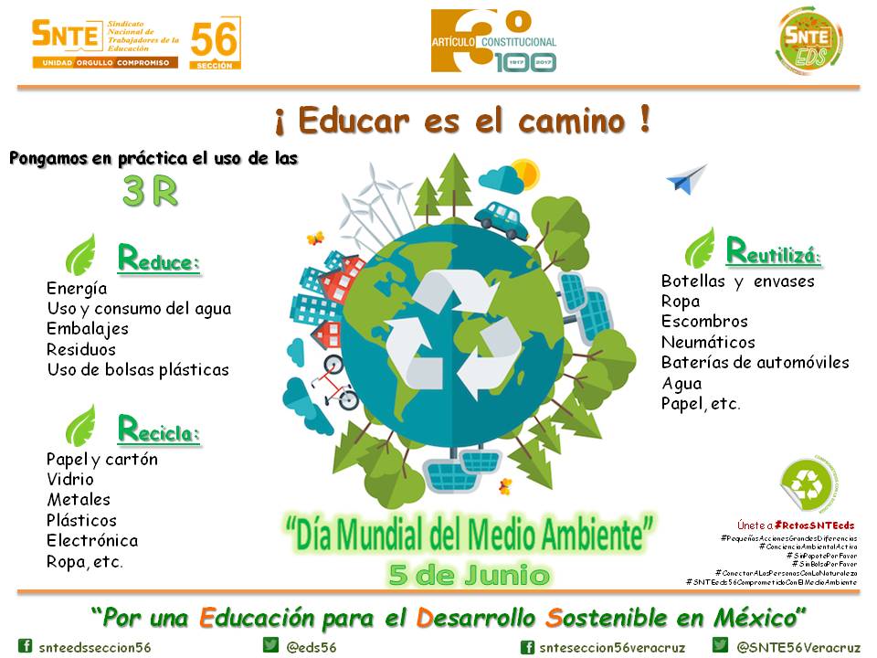 SNTE-EDS 56 Veracruz tweet media