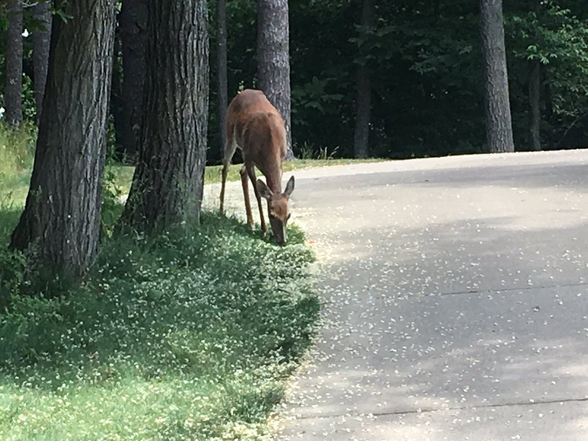 DrewOlsonMKE's tweet photo. Today @thebig920, a special version of @TheEndZone86 live from @TellurianInc golf outing @WildRockGolf. https://t.co/Ou2GDUhWkf