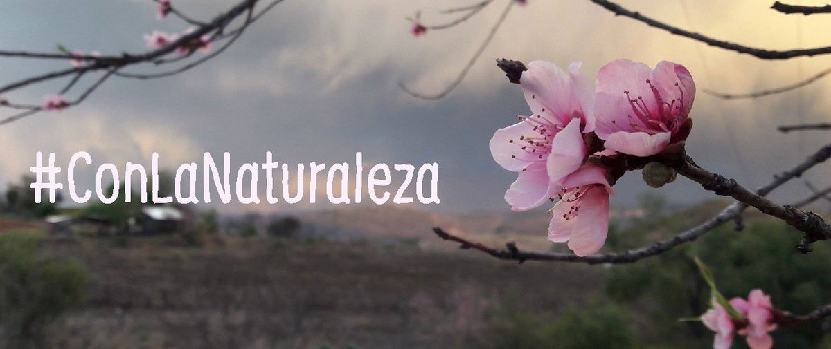 ECOSsustentable's tweet photo. #DiaMundialdelMedioAmbiente conectamos con la naturaleza, fomentamos el cuidado del medio ambiente en las comunidades #ConlaNaturaleza https://t.co/AFlJMuFzuP