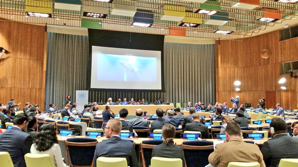 jessegerstin's tweet photo. @sidsdock @UNOHRLLS @SIDSBlueGuard @SylviaEarle address the #UNOceanConference High-level Dialogue on Oceans and Small Island States #SIDS https://t.co/fscQiEHgzF