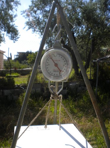 Τοποθετήθηκε στα έλατα η νέα μας ζυγαριά.Έχει ειδικές δυνατότητες προκειμένου να ενημερωνει τους αναγνωστες του blog. 
Συντονιστείτε..!