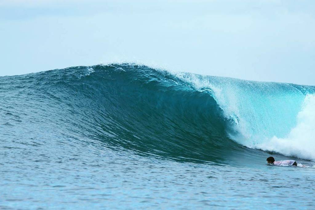 SumatranSurf's tweet photo. Photo 📷 from @kazuo.k2 - .
Photo by Everton Luis @surf_capture . #mentawai #boattrip #ht #insanesurfboards #insanesurfboard #thrillsco #スリル… https://t.co/YLj24Gf85R